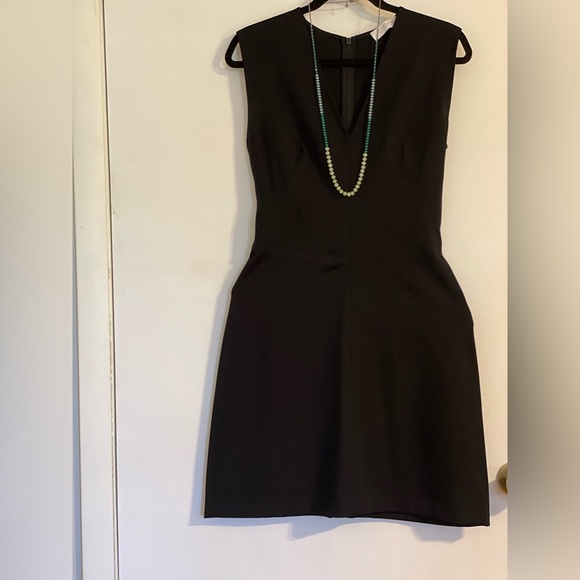 Everlane The Sleeveless V-Neck Flare Dress - EUC - Picture 5 of 5